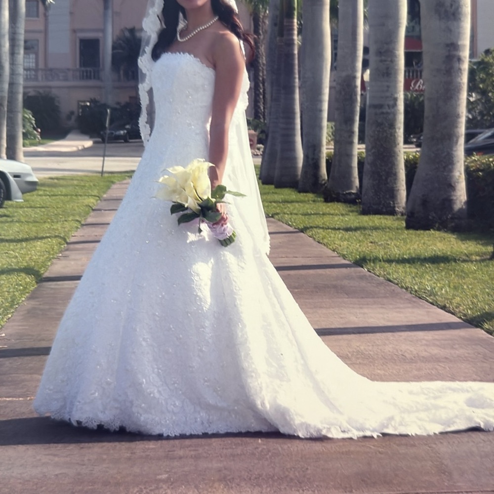 Michaelangelo Wedding Gown David's Bridal Allover beaded corded lace Strapless